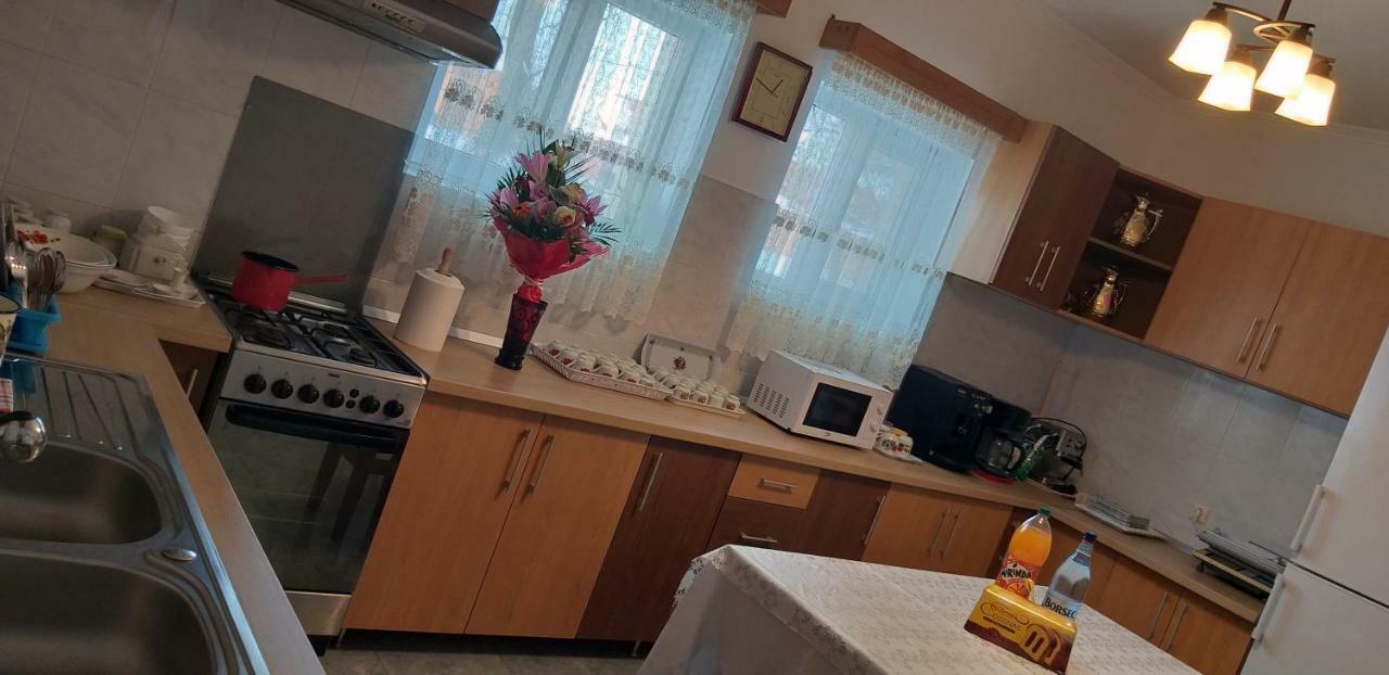 Pensiunea Casa Stet Toader Iulian Săpînţa 외부 사진